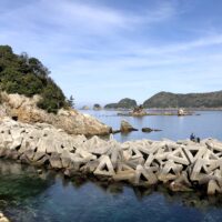 エギング初心者必見 釣れない悩みを解消 釣れる確率を上げてアオリイカの釣果を高めよう