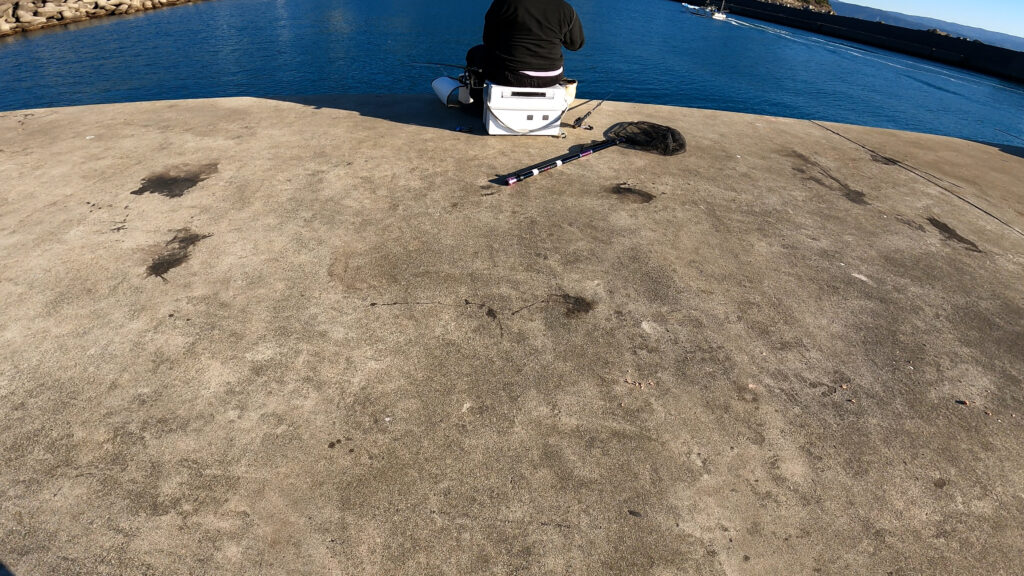 22年版 和歌山エギングmap 穴場 定番ポイントでアオリイカの釣果をあげよう 駐車場 トイレ 夜釣り情報